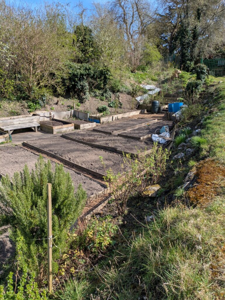 Allotment